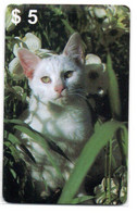 Chat Cat Katze Carte Prépayée Setcall USA Etats-Unis Card ( D 786) - [6] Colecciones