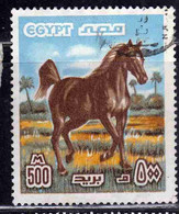 UAR EGYPT EGITTO 1978 1985 ARABIAN STALLON 500m USED USATO OBLITERE' - Gebraucht