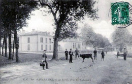 D64 - NAVARRENX - VUE ANIMEE DE L'ESPLANADE ET LES ECOLES - Bearn