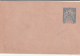 GUYANE - Entier Postal Type Sage 25 C Bleu -  Neuf - Enveloppe Format 11,5 X 7,5 Cm - Rabat Non Collé - Lettres & Documents