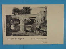 Souvenir De Soignies Le Pont De La Rue Des Orphelins - Soignies