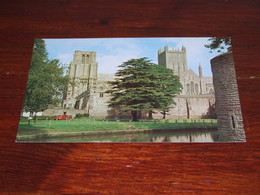 48077-                    THE MOAT AND WELLS CATHEDRAL - Wells