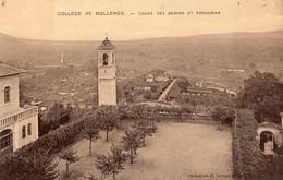 TURIN COLLEGE DE BOLLENGO COURS DES GRANDS ET PANORAMA - Education, Schools And Universities