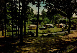 LES LUCS-SUR-BOULOGNE   ( VENDEE )   LE CAMPING - Les Lucs Sur Boulogne