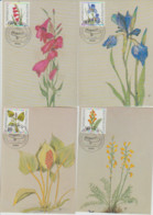 Lot 4 Cpm 10x15 ALLEMAGE DEMOCRATIQUE . 1er Jour BERLIN 12  (8/10/1981) 4 Fleurs 10, 50, 60, 90 DM - Cartas & Documentos