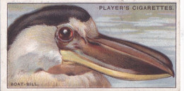 5 The Boat Bill - Curious Beaks 1929 - Players Cigarette Card - Original - Wildlife - Birds - Player's