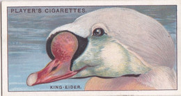 12 The King Eider - Curious Beaks 1929 - Players Cigarette Card - Original - Wildlife - Birds - Player's