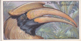 21 The Homrai  - Curious Beaks 1929 - Players Cigarette Card - Original - Wildlife - Birds - Player's