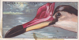 29 Australian Jacana - Curious Beaks 1929 - Players Cigarette Card - Original - Wildlife - Birds - Player's