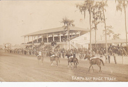 Cpa  / Photo Card -USA- Florida - Tampa Bay Race Track ( Horses Race / Course De Chevaux / Pferderennen ) - Tampa