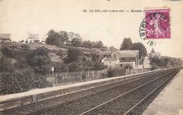 CPA 44 Loire Atlantique > Le Cellier Montée Du Bourg - Chemin De Fer - Restaurant - Le Cellier