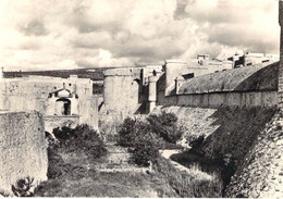 66 - Salses - Le Château - Fossé Sud Et Défenses De L'entrée - Salses