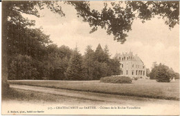 2H10 --- 49 CHATEAUNEUF SUR SARTHE Château De La Roche-Veroullière - Chateauneuf Sur Sarthe