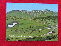 AK: Grüße Vom Schneeberg, Ungelaufen (Nr.3252) - Schneeberggebiet