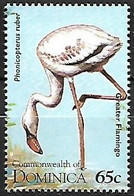 Dominica - MNH ** 1995 :  American Flamingo   - Phoenicopterus Ruber - Flamingo's