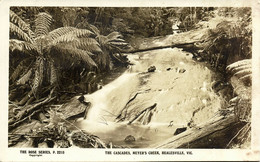 Australia, VIC, HEALESVILLE, Meyer's Creek, The Cascades, Rose Series RPPC - Other & Unclassified