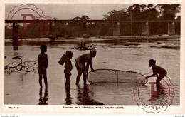 SIERRA LEONA // SIERRA LEONE. Fishing In A Tranquil River. - REAL PHOTO - Sierra Leone