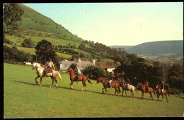 Pony Trekking In The Black Mountains 1976 Colourmaster - Monmouthshire