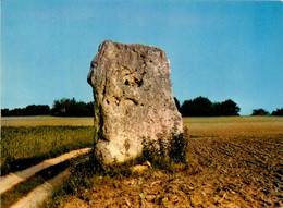 Conneré * Vue Sur Le Menhir * Pierre Monolithe - Connerre