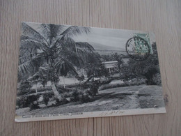 CPA Jamaïque Jamaica One Old Stamp Cane Fields And Palm Trees - Jamaica