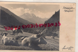 ALLEMAGNE - MITTAGSZEIT - BAVIERE-BILLERGRUND -CARTE PHOTO - Aichach