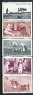 SWEDEN 1973 Nordic Museum  MNH / **.  Michel 815-19 - Neufs