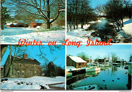 New York City Long Island Winter Scenes 1992 - Long Island