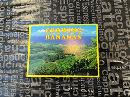 (Booklet 141 - 25-6-2022) Australia - NSW - Coff Harbour - Bananas Growing - Edited By ? - Coffs Harbour