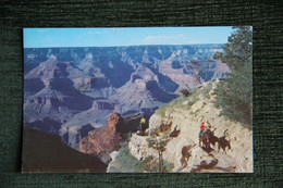 GAND CANYON -  BRIGHT ANGEL TRAIL - Gran Cañon