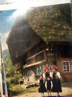 GERMANY   - Gutach / Schwarzwaldb. - Freilichtmuseum Vogtsbauernhof VB1982 IR9497 - Gutach (Schwarzwaldbahn)