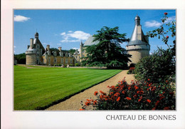 CHATEAU DE TOUFFOU      ( VIENNE )   BONNES - Chateau De Touffou