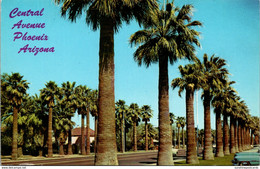 Arizona Phoenix Palm Lined Central Avenue - Phoenix