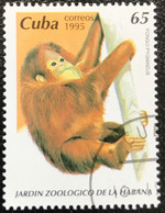 Cuba - C10/20 - (°)used - 1995 - Michel 3854 - Dierentuin Van Havana - Gebraucht