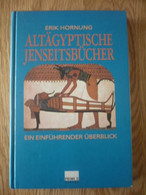 Altagyptische Jenseitsbucher Ein Einfuhrender Uberblick - Arqueología