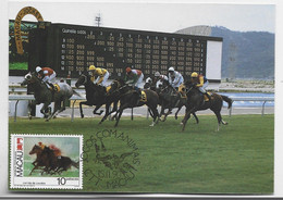 MACAO CARTE MAXIMUM CHEVAL HORSE MACAU 15.II.1990 - Cartoline Maximum