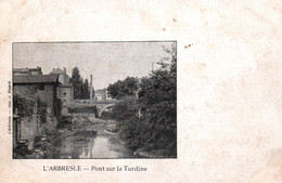 L'Arbresle (Rhône) Pont Sur La Turdine - Edition Pipard - Carte Dos Simple - L'Abresle