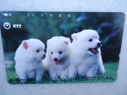 JAPAN   NTT AND  OTHERS CARDS  ANIMALS  DOG  DOGS - Chiens