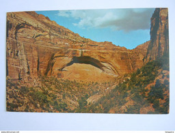 Utah Zion National Park The Great Arch From The Switchback Road - Zion