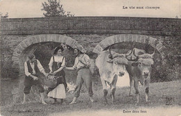 CPA PHOTO - Attelage De Boeufs - La Vie Au Champs - Carte Animée - Chapeau - Paysan - Attelages