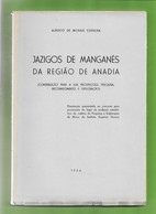 Anadia -  Aveiro  -Jazigos De Manganés - Minas - Mines - Portugal - Autres Plans