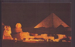EGYPTE GIZA SOUND AND LIGHT AT THE PYRAMIDS OF GIZA - Piramiden