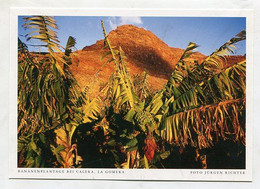 AK 067119 SPAIN - La Gomera - Bananenplantage Bei Calera - Gomera