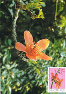 45716. Tarjet Maxima MACAU, Republica Portuguesa 1983. Bombax Flores, Flowers - Cartes-maximum