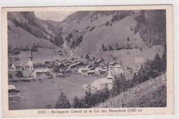 Bellegarde  (Jaun) Et Le Col  Des Neuschels - Bellegarde