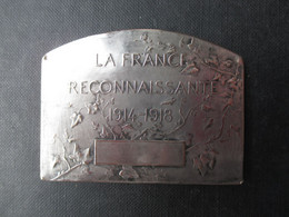MEDAILLE (V2216) LA FRANCE RECONNAISSANTE 1914 1918 (4 Vues) Stern Gr Paris +/- 72 X 54 Mm - 100 Gr - Touristiques