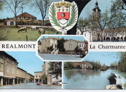 Réalmont La Charmante Belle Multi-vues Le Tarn L'Eglise Vaches Voiture - Realmont