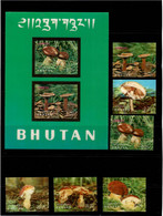 Bhutan 1973 .  Mushrooms ( Four 3-D Stamps ). 6v.+ S/S - Bhutan