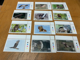 Birds Long Set Cook Island From Hong Kong MNH - Cartas & Documentos