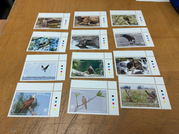 Birds Long Set Cook Island Eagle From Hong Kong MNH - Lettres & Documents