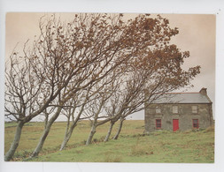 Irlande Ireland - Real Ireland Irish Cottages - Glencolombkille Co Donegal (cp Vierge) - Donegal